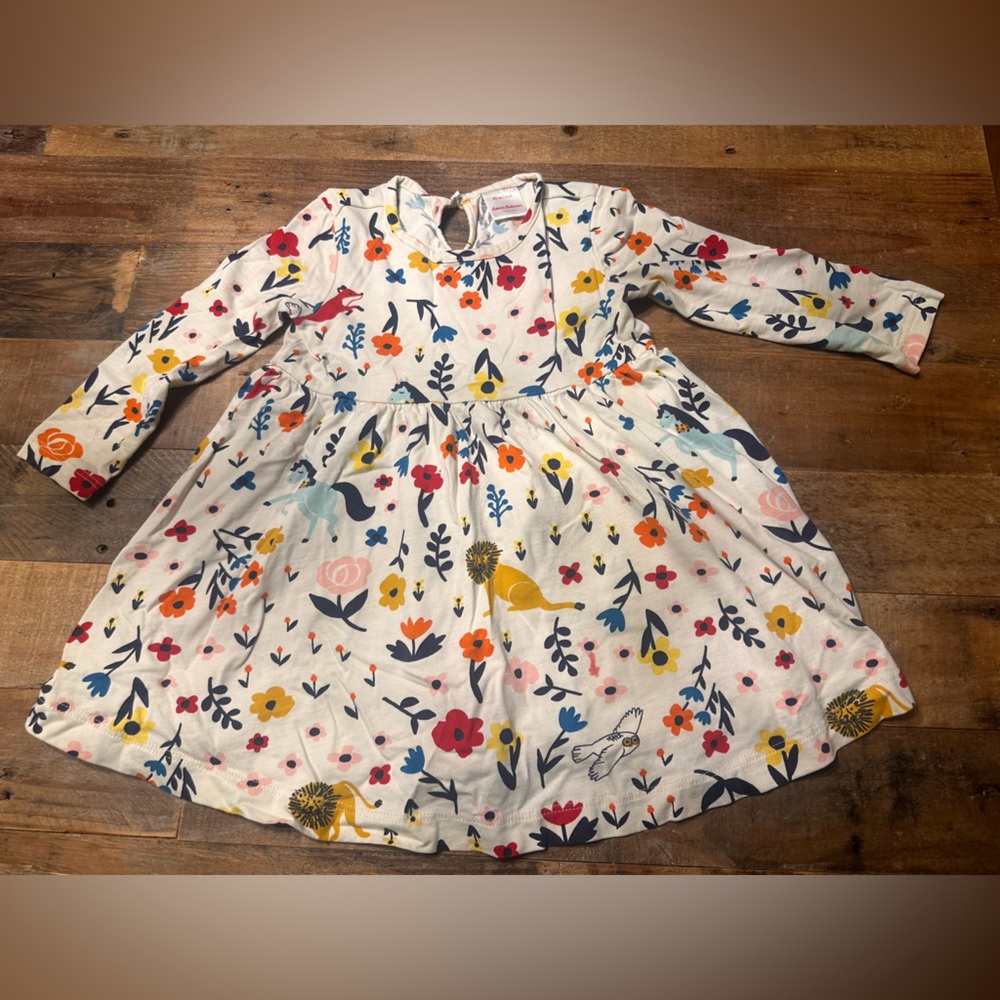 Hanna Andersson Dress - 2T